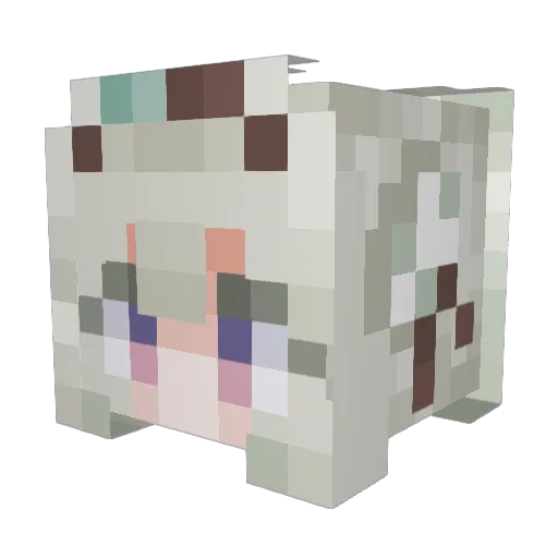 Berdy55 Minecraft avatar head, 3D render