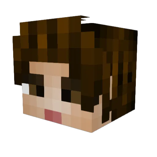 Berenbrinker Minecraft avatar head, 3D render