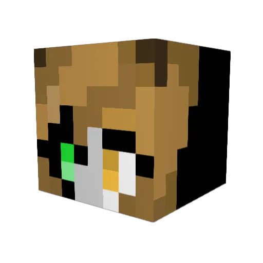 Berfin2011 Minecraft avatar head, 3D render