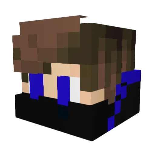 BergTonytos Minecraft avatar head, 3D render