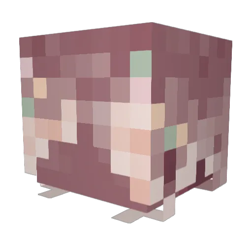 BergamotGrey Minecraft avatar head, 3D render