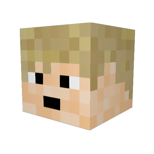 Bergfurher Minecraft avatar head, 3D render