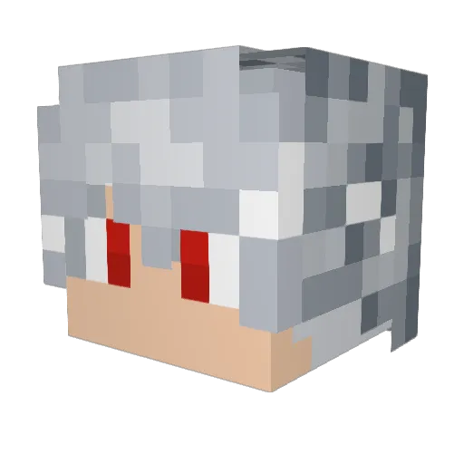 Bergh49 Minecraft avatar head, 3D render