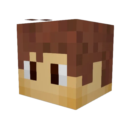 Berginator3000 Minecraft avatar head, 3D render
