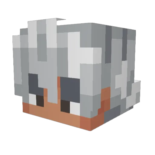 Beris3Ognil Minecraft avatar head, 3D render