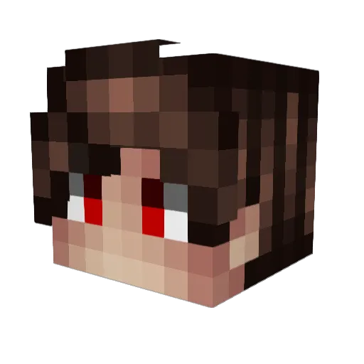 BerkAkdagTR Minecraft avatar head, 3D render