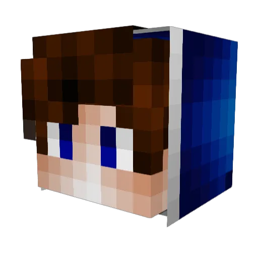 BerkSdk Minecraft avatar head, 3D render
