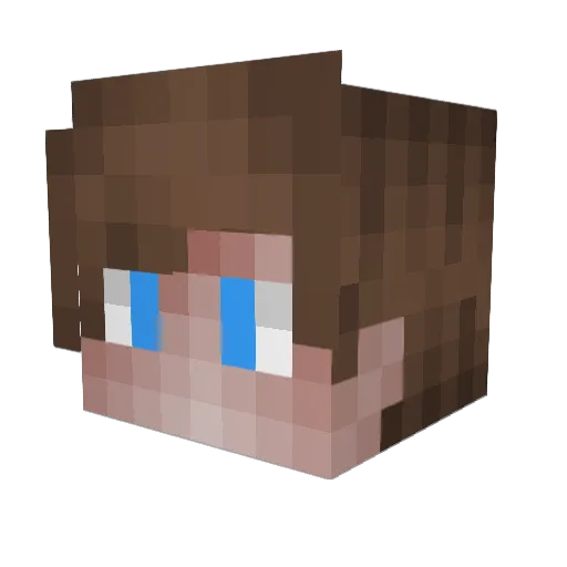 BerkSensei Minecraft avatar head, 3D render