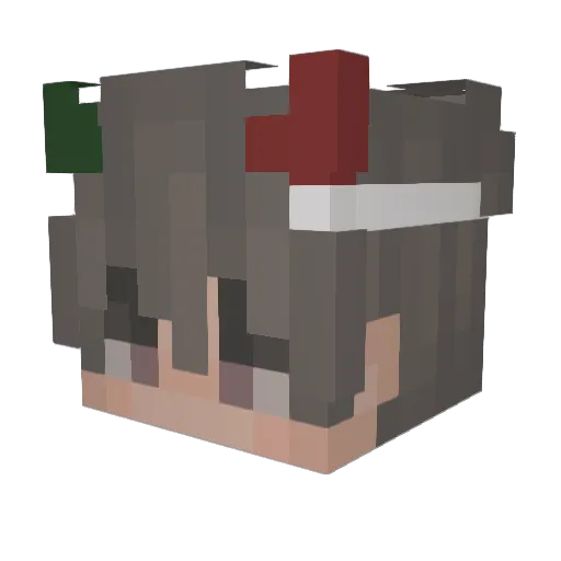 BerkanRZG Minecraft avatar head, 3D render