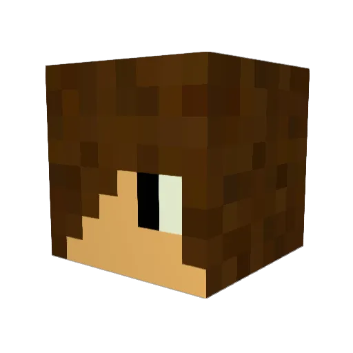 Berke20 Minecraft avatar head, 3D render