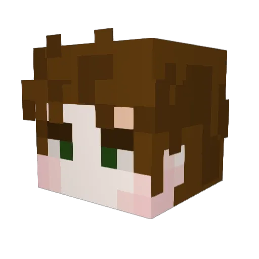 BerkeBG Minecraft avatar head, 3D render