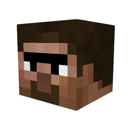 BerkePro2004 Minecraft avatar head, 3D render
