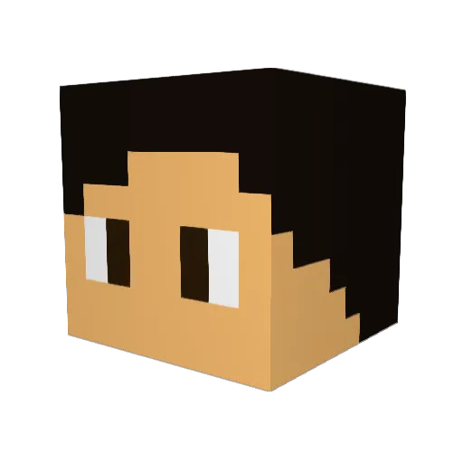 Berkenbrock Minecraft avatar head, 3D render