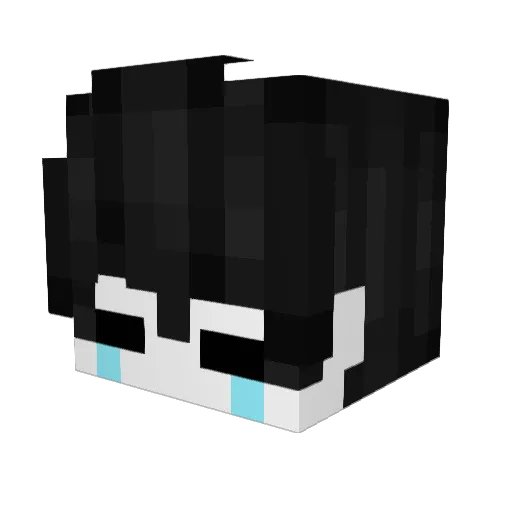 Berkgina Minecraft avatar head, 3D render