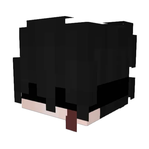Berkteoxy Minecraft avatar head, 3D render