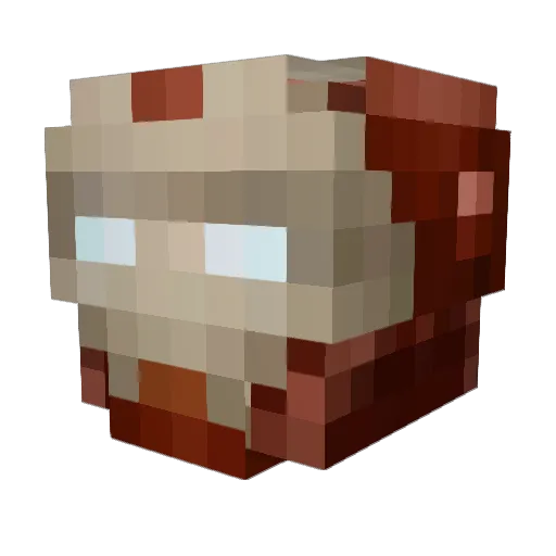 Berleboss Minecraft avatar head, 3D render