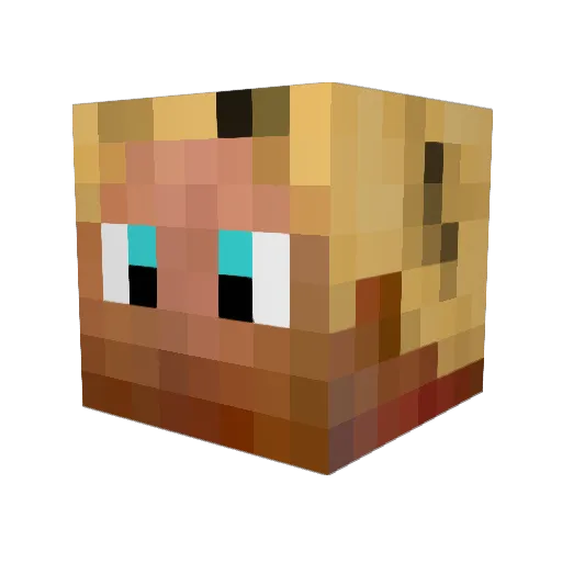 Bermagui Minecraft avatar head, 3D render