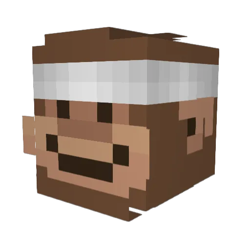 Bermingham123 Minecraft avatar head, 3D render