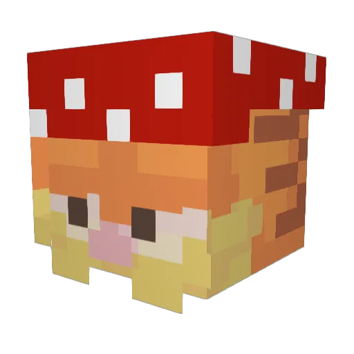 BermudaBlitz Minecraft avatar head, 3D render
