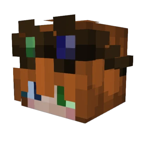 BermudaBoy Minecraft avatar head, 3D render