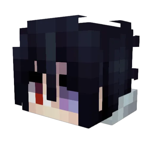 Bermudeh Minecraft avatar head, 3D render
