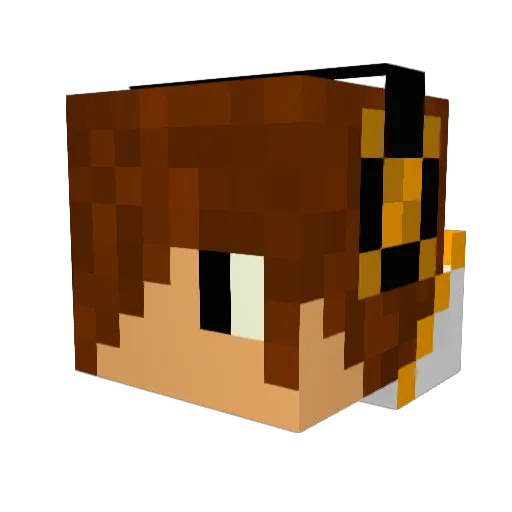Berna102 Minecraft avatar head, 3D render