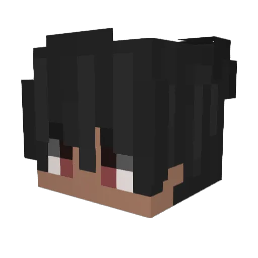 BernaDb Minecraft avatar head, 3D render