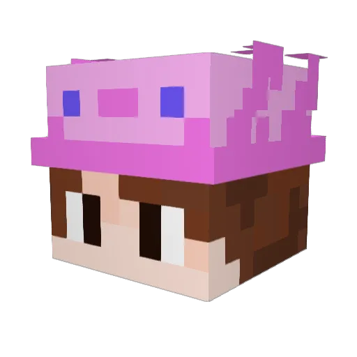 Bernar2d2 Minecraft avatar head, 3D render