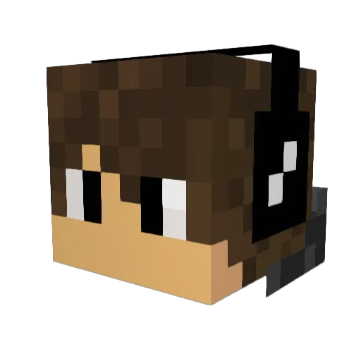 Bernardo356 Minecraft avatar head, 3D render
