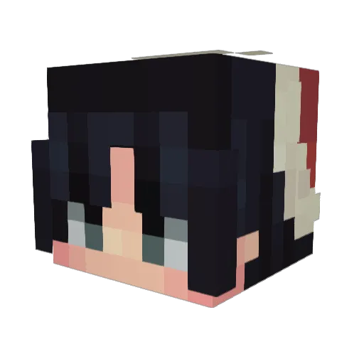 Berniat Minecraft avatar head, 3D render
