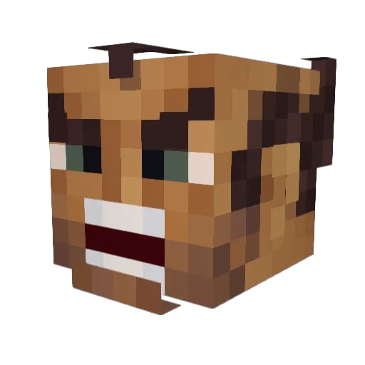 Bernie1939 Minecraft avatar head, 3D render