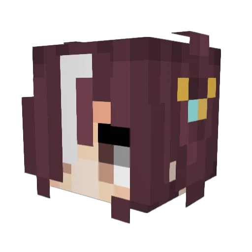 Bernie_Sewer_Rat Minecraft avatar head, 3D render