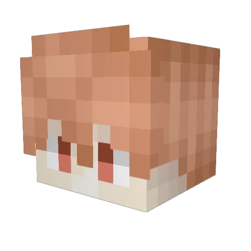 Bernnipah Minecraft avatar head, 3D render