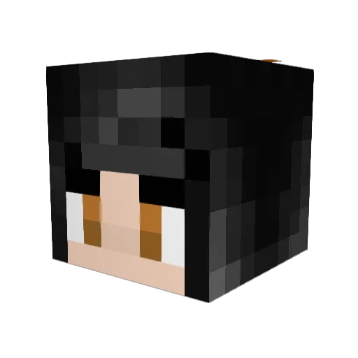Bernsaflor Minecraft avatar head, 3D render