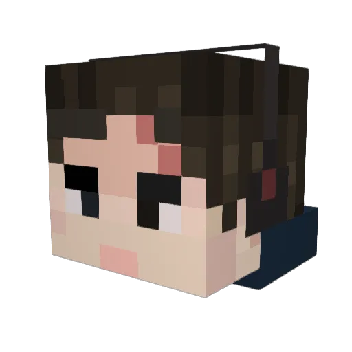 Bernti Minecraft avatar head, 3D render