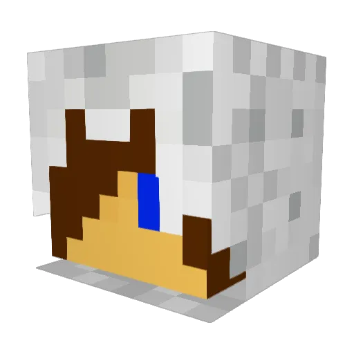 Berox01 Minecraft avatar head, 3D render
