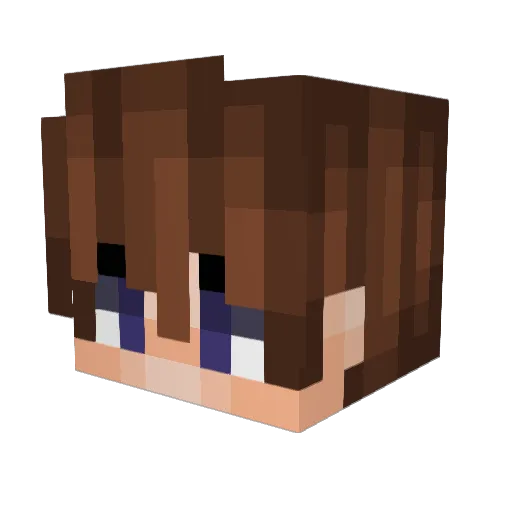 Berpizi1 Minecraft avatar head, 3D render