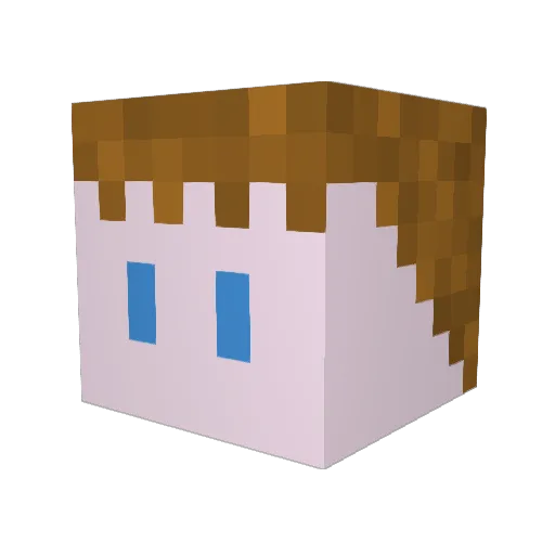 BerrePlayz Minecraft avatar head, 3D render