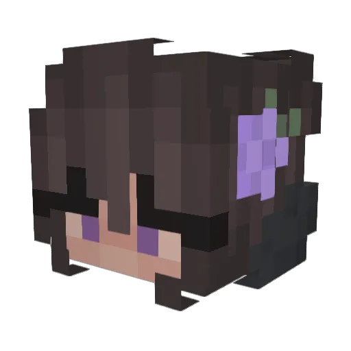 BerryBear_ Minecraft avatar head, 3D render