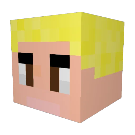 BerryBeeBen Minecraft avatar head, 3D render