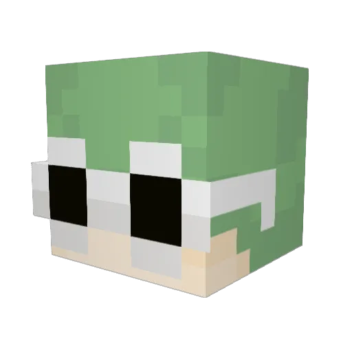 BerryBoi420 Minecraft avatar head, 3D render