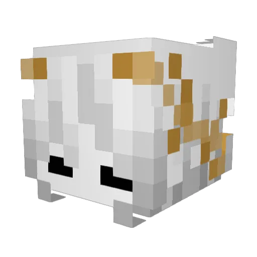 BerryCares Minecraft avatar head, 3D render