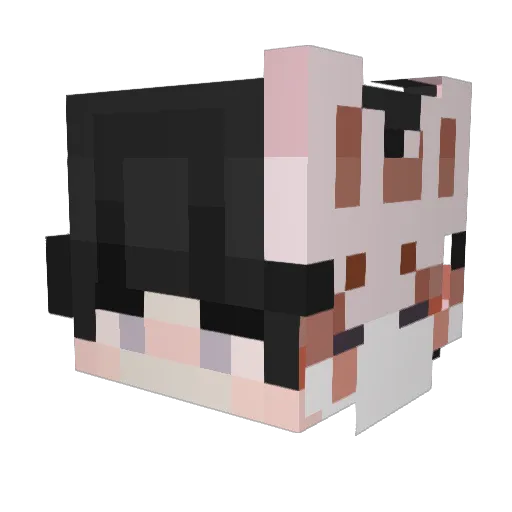 BerryGoodBox Minecraft avatar head, 3D render