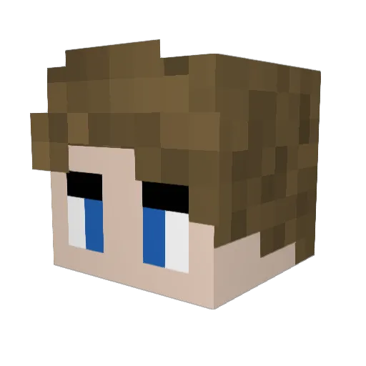 BerryMC Minecraft avatar head, 3D render