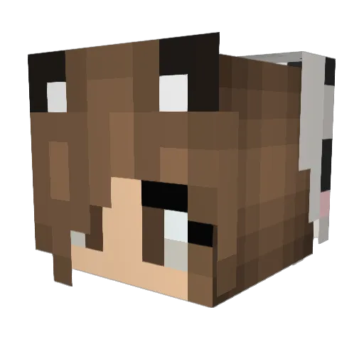BerryPanda88 Minecraft avatar head, 3D render