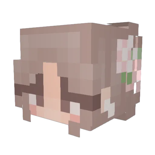 BerryPlayz14 Minecraft avatar head, 3D render