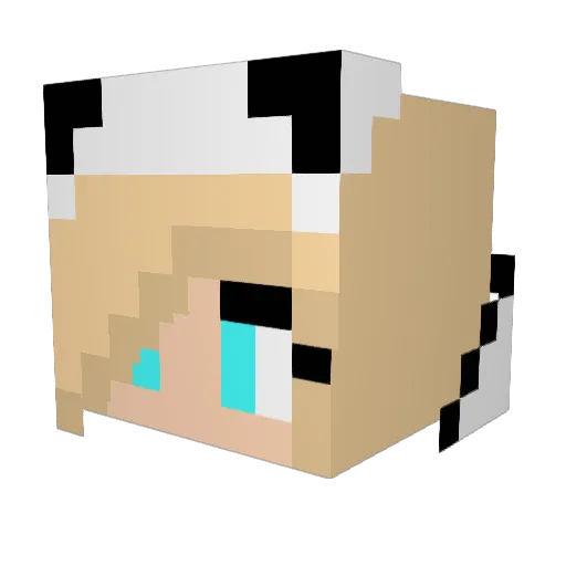 BerryPunch1 Minecraft avatar head, 3D render