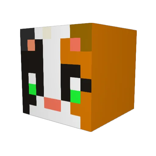 BerryTreeKi Minecraft avatar head, 3D render