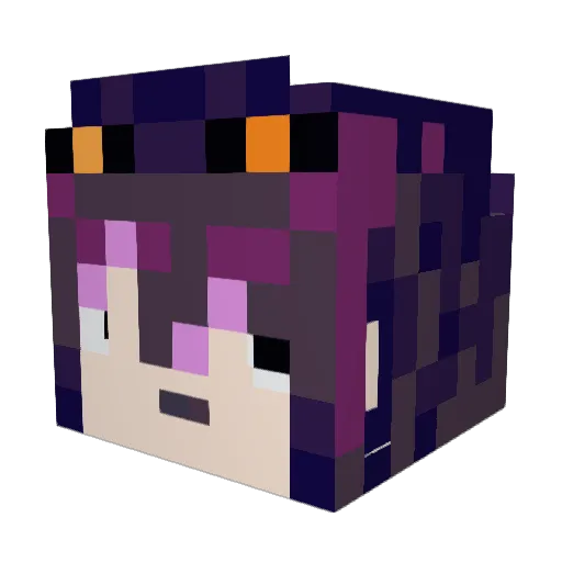 Berrybear1495 Minecraft avatar head, 3D render