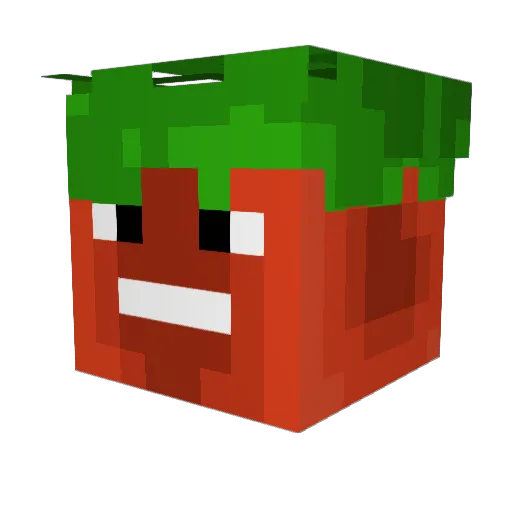 Berryman5 Minecraft avatar head, 3D render